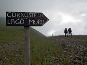 Sul monte CORNO STELLA (2620 m) in compagnia degli stambecchI l’8 agosto 2014  - FOTOGALLRY